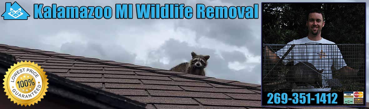 Kalamazoo Wildlife and Animal Removal